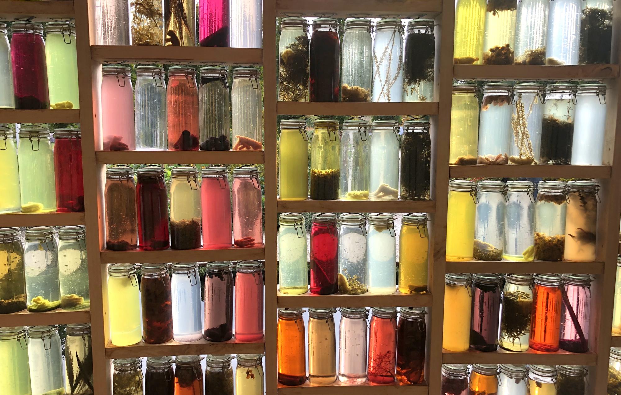 Ingredient samples and labelled jars